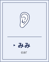 みみ